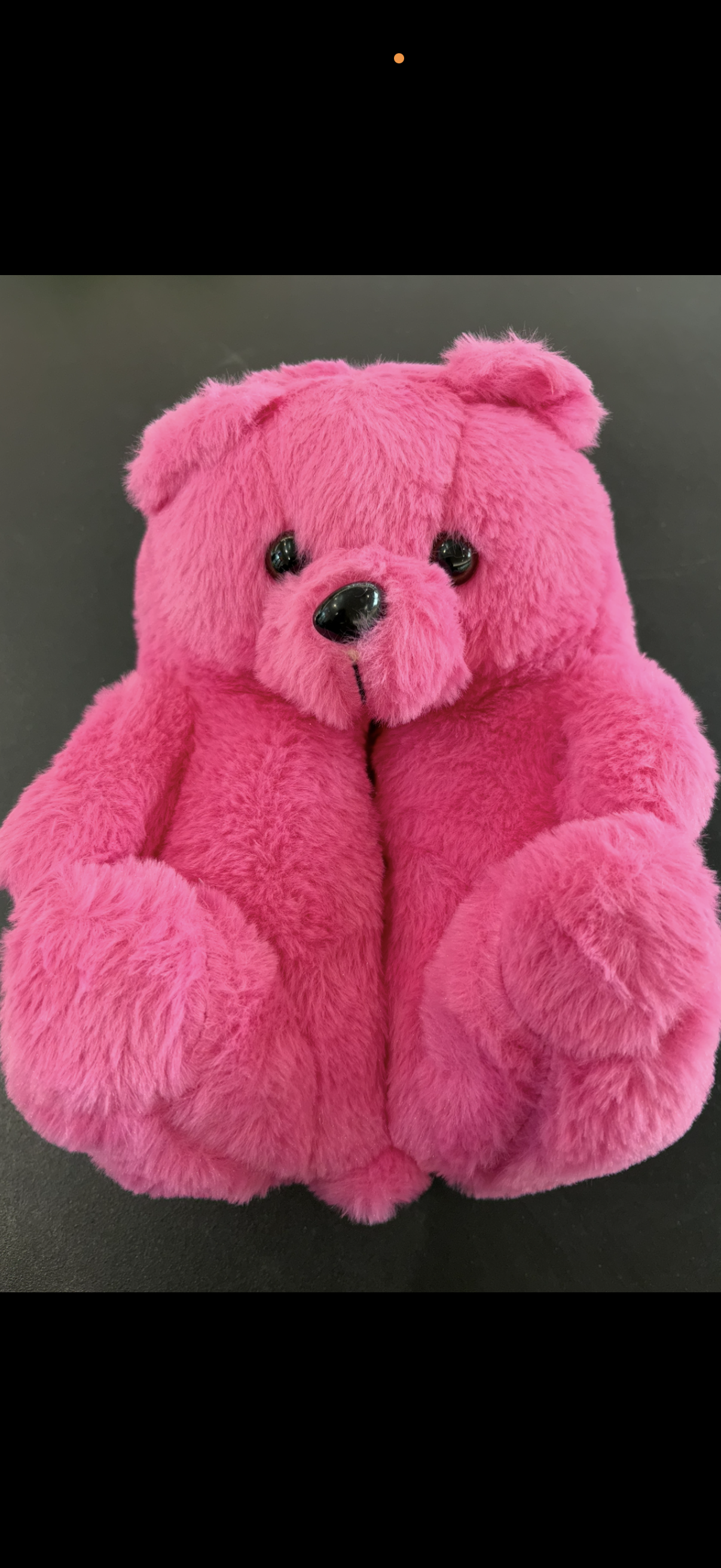 Bear Slippers